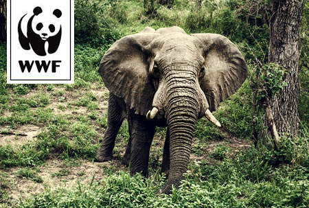 WWF Membership WWF Membership