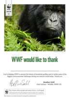 Adopt a Mountain Gorilla Certificate