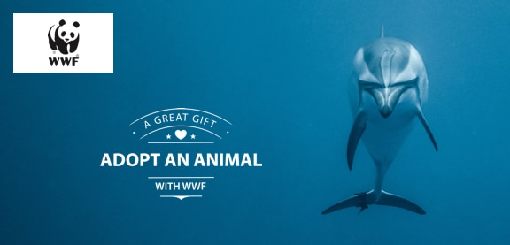 Adopt a Dolphin | WWF Animal Adoptions from £3.00 a month