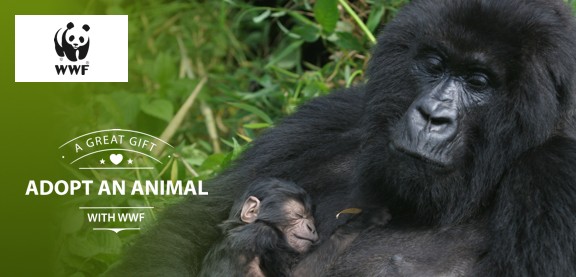 Adopt a Mountain Gorilla