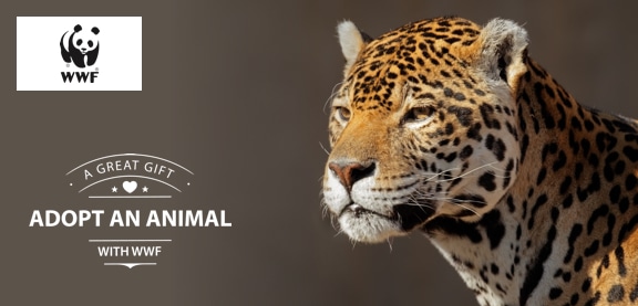 Adopt a Jaguar