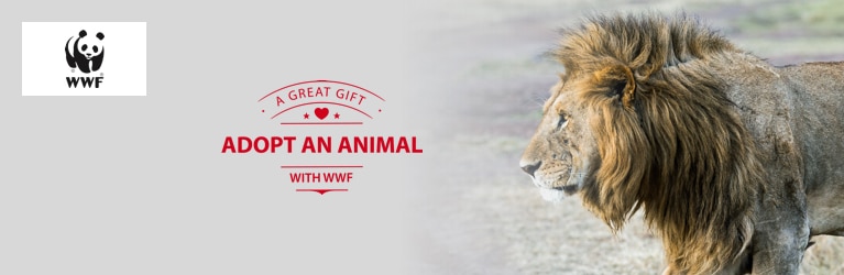 Adopt a Lion | WWF Animal Adoptions from £3.00 a month