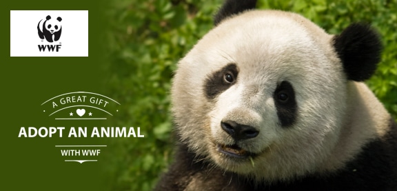 wwf adopt an animal