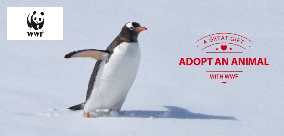 Adopt a Penguin