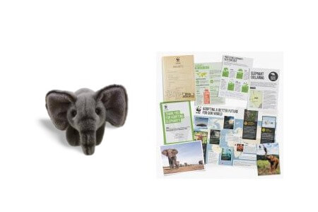Adopt an Elephant Gift Pack