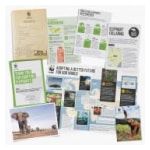 Adopt an Elephant Gift Pack