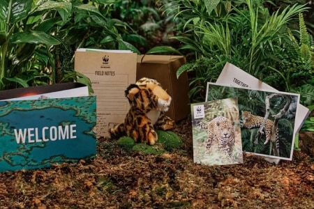 Adopt a Jaguar Gift Pack