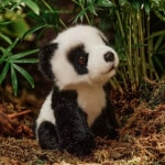 Adopt a Panda Cuddly Toy