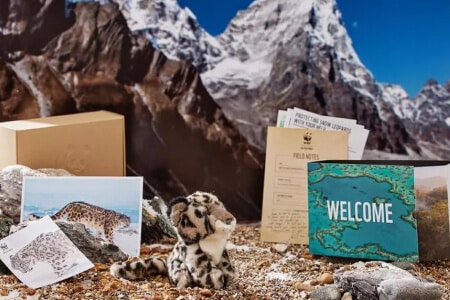 WWF Adopt an Animal Gift Pack