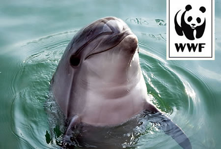 WWF Adopt a Dolphin WWF Adopt a Dolphin