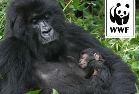WWF Adopt a Mountain Gorilla WWF Adopt a Mountain Gorilla