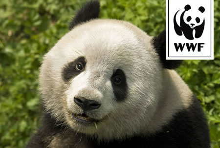 WWF Adopt a Panda WWF Adopt a Panda