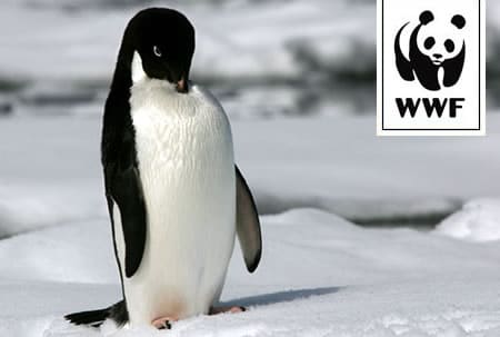WWF Adopt a Penguin WWF Adopt a Penguin