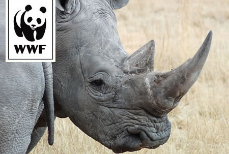 WWF Adopt a Rhino WWF Adopt a Rhino