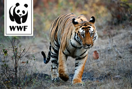 WWF Tiger Protector WWF Tiger Protector